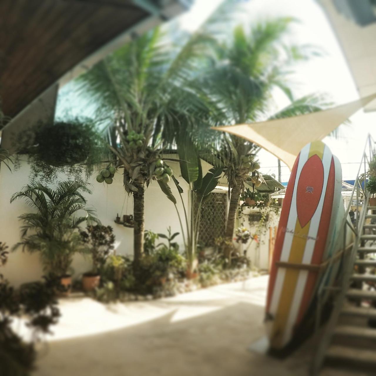 Cocobolo Surf Hotel & School Playa Santa Teresa  Экстерьер фото
